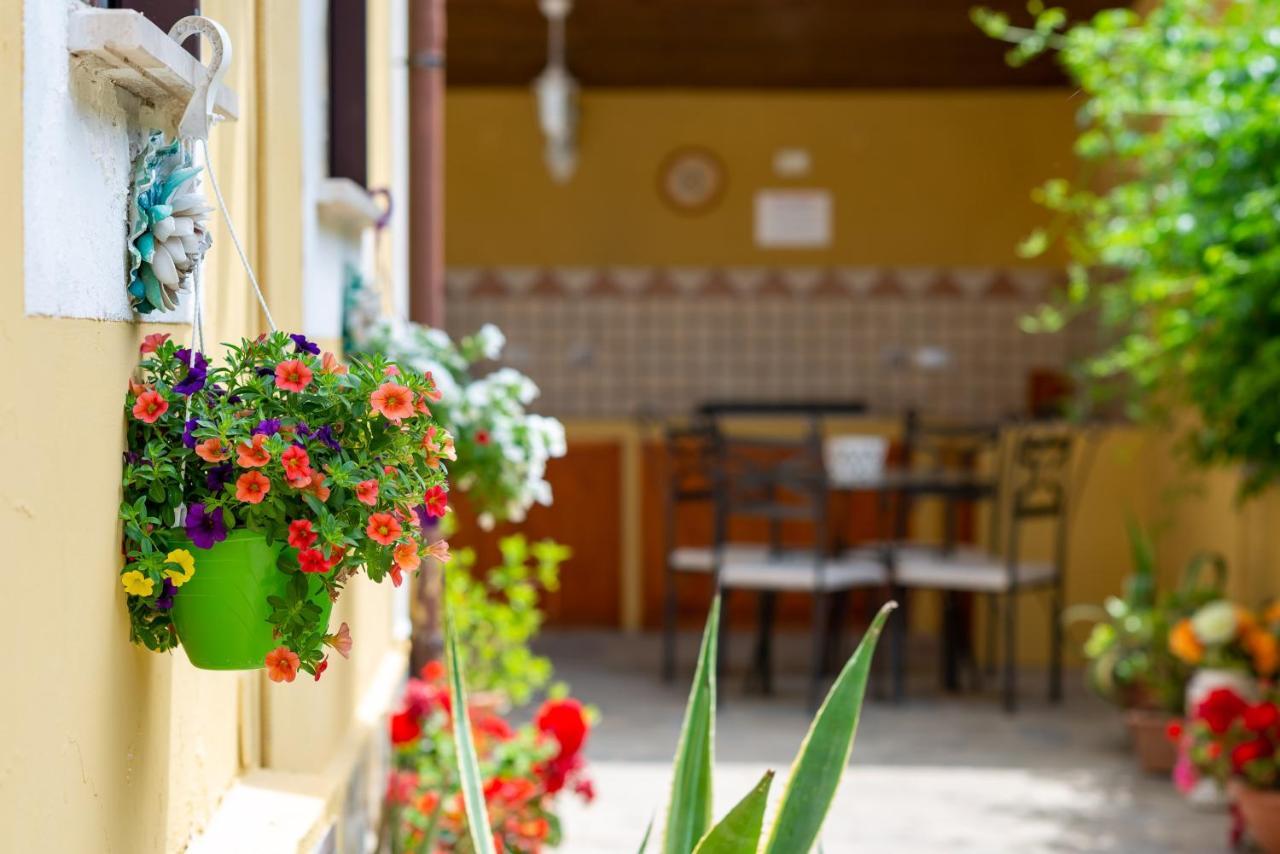 B&B Martina Agropoli Ngoại thất bức ảnh