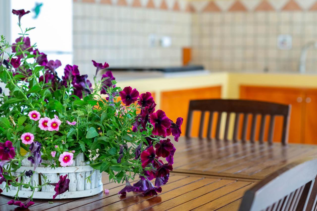 B&B Martina Agropoli Ngoại thất bức ảnh